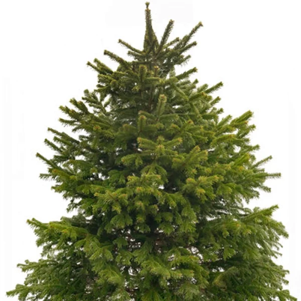 b08764d54b294473798ac0d0aae47dc5