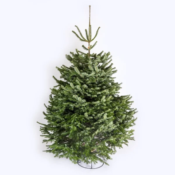 b2ca20e65ee237003a4e5b3295001607