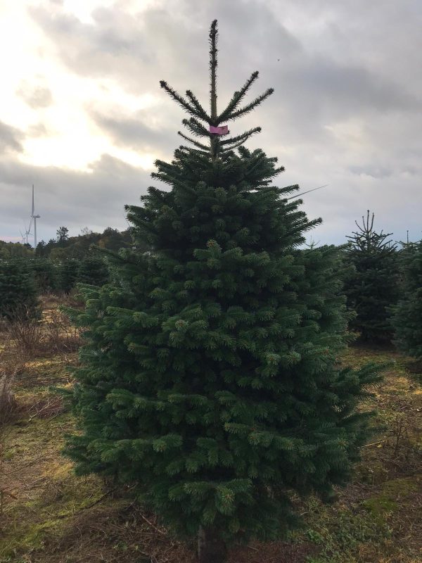 7c5e0129e3dc75f1962001bd1d412160