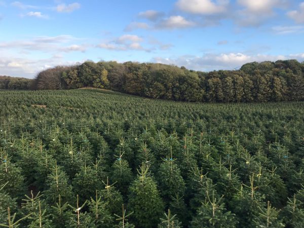 a035d715216daf951634a65feb94ff5d